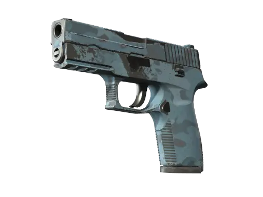 P250 | 暮色森林 (久经沙场)